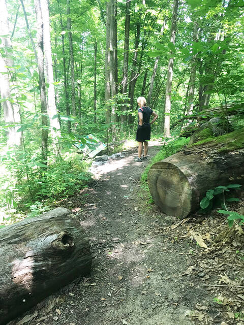 Youll run into a trail head or system at pretty much every turn in East Fork State Park.