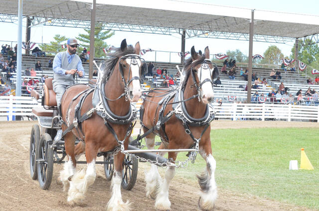 Horse shows are held in the main ring throughout the week of the Brown County Fair. This years fair runs Sept. 25-30. Photo by Wade Linville