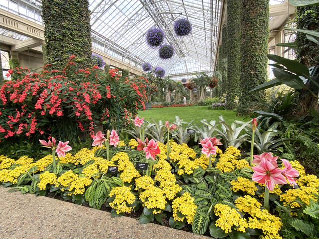 Stately columns and 20-foot windows line the Exhibition Hall at Longwood Gardens, a tropical paradise on a cold winter day (GoodSeed Farm photo)