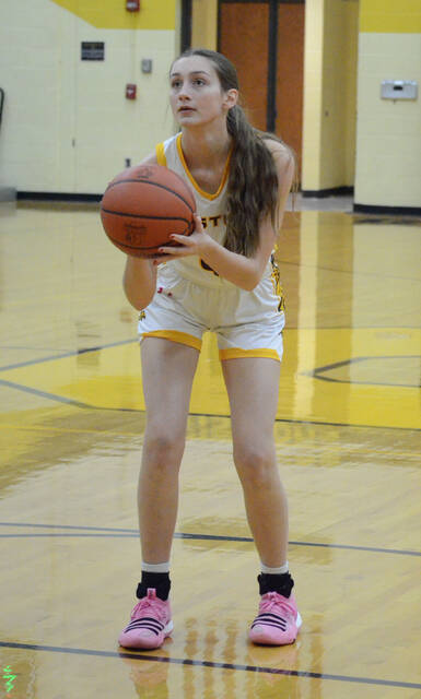 Olivia Fischer, Western Brown
                                All-Southwest District DI Third Team